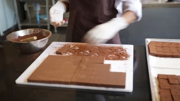 Chokladfabriken - produktion - handgjorda praliner — Stockvideo