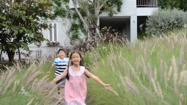 Asiático bonito criança brincando no campo de trigo — Vídeo de Stock