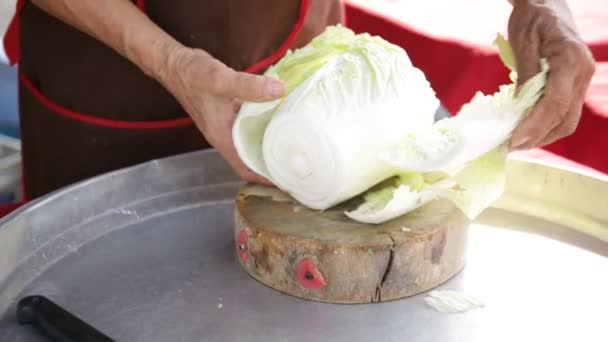 Restaurant kitchen woman preparing fish dishes for customer . — Stock Video