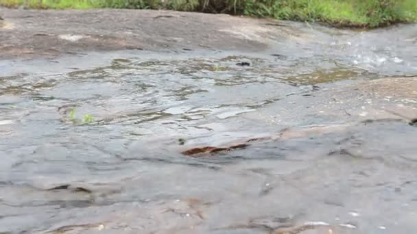 Un río en las montañas con una pequeña cascada en el bosque — Vídeos de Stock