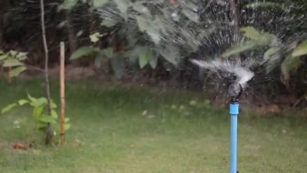 Gőz fúj az esőtől kifolyása . — Stock videók