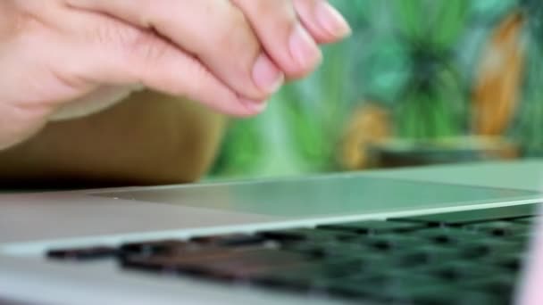 Frau scrollt mit ihrem Laptop-Trackpad eine Webseite — Stockvideo