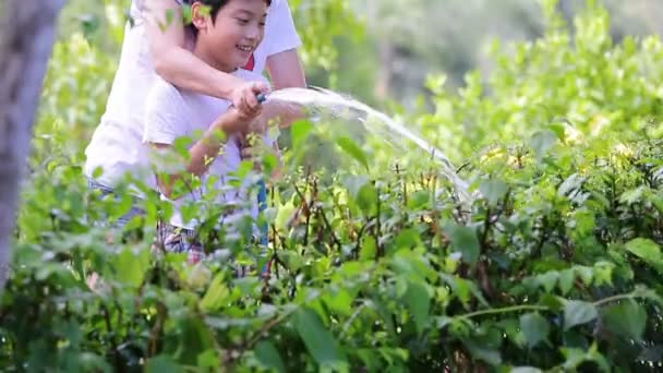 Asian mother and son are watering the tree, standing in the shade of a tree in the garden — Stock Video