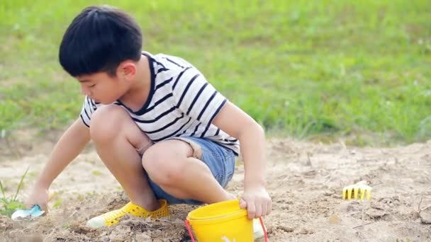 Asiatique mignon garçon jouer avec jouets dans jardin , — Video