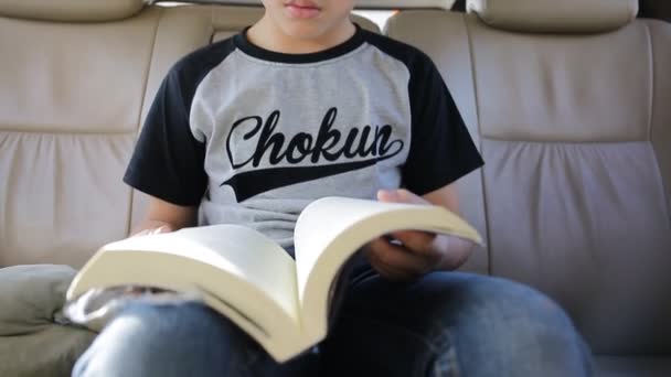 Pequeño asiático chico leyendo libro en coche — Vídeo de stock