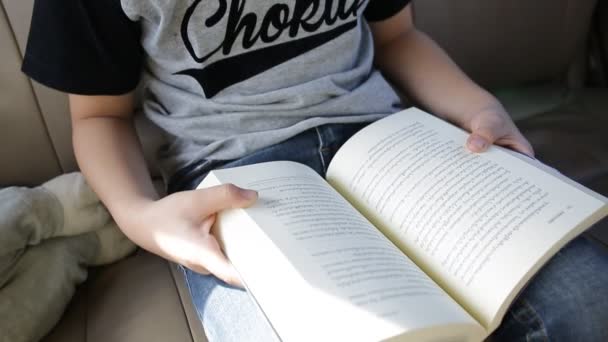 Pequeño asiático chico leyendo libro en coche — Vídeos de Stock