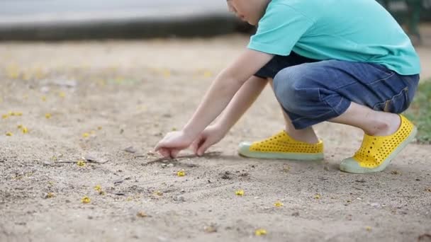 Happy asiatiska barn spelar sand i en park, Bangkok Thailand. — Stockvideo