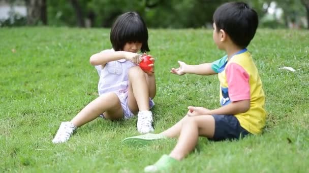 Kis-ázsiai fiú és lány szappanbuborék fújás a parkban — Stock videók