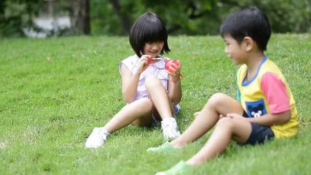Маленький азиатский мальчик и девочка раздувают мыльный пузырь в парке — стоковое видео