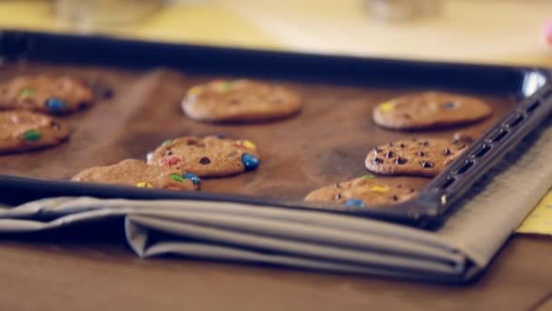Cerca de la mano de un niño pequeño hace galletas de chocolate con su madre embarazada  . — Vídeos de Stock