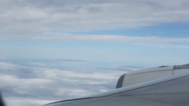 Vista exterior del vuelo en avión de reacción  . — Vídeos de Stock