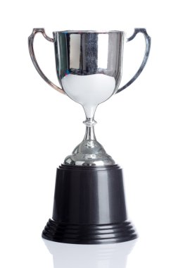 Şampiyonlar Kupası