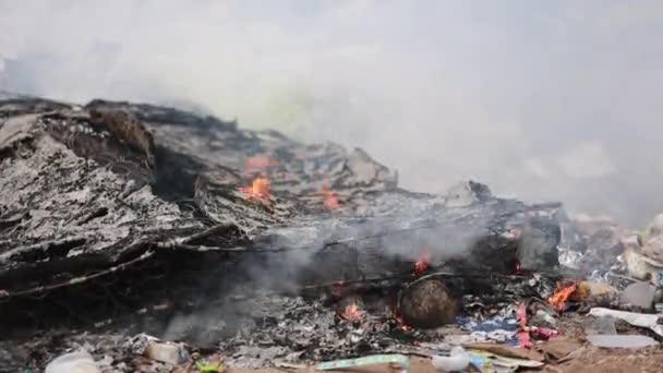 Burning garbage dump, pollution — Stock Video