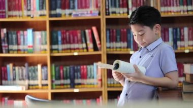 küçük Asyalı erkek arı okuma, Kütüphane Tayland ile sıkılmış