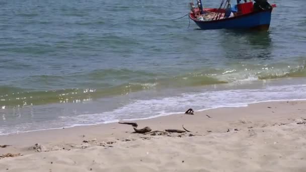 Bateau de pêche prêt à pêcher dans le golfe de Thaïlande, Thaïlande — Video