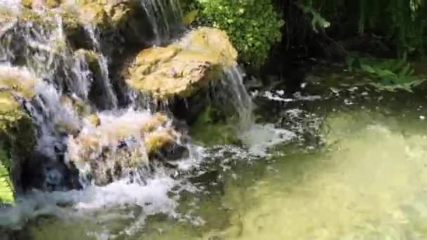 Cascade dans le jardin — Video