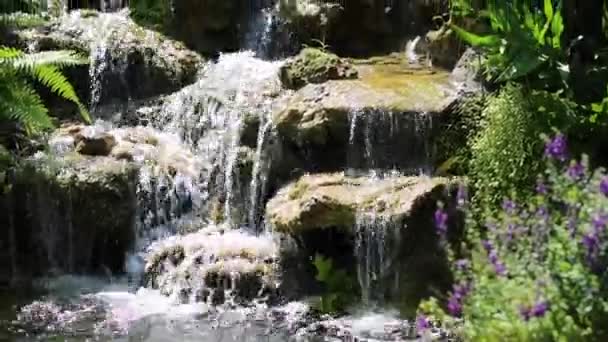 Cascade dans le jardin — Video