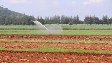 Yağmurlama ile dağ içinde belgili tanımlık geçmiş
