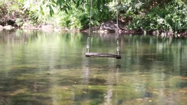 Fluss im Wald — Stockvideo