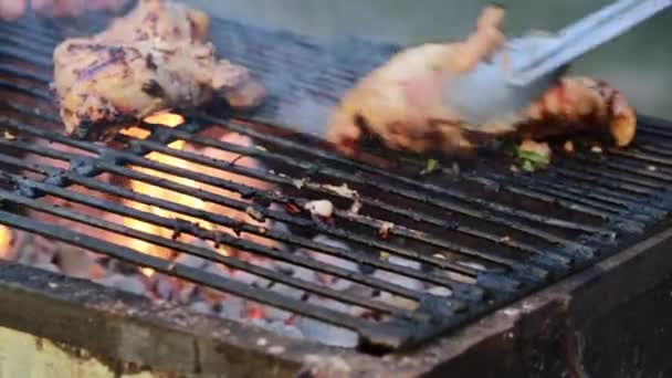 Barbecue sur le gril, caméra poupée — Video