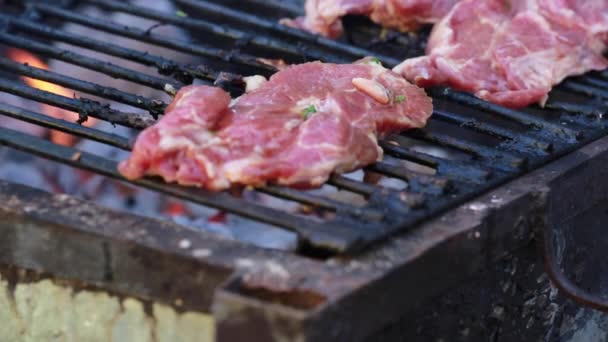 Barbecue op de grill, dolly camera — Stockvideo