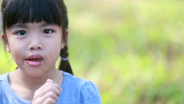 Retrato de hermana asiática mirando a la cámara con cara de sonrisa — Vídeos de Stock