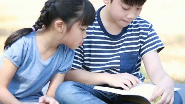 Little asian brother and sister reading book in the garden — Stock Video