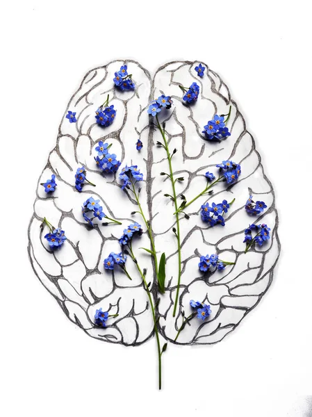 Emberi Agy Ceruza Rajz Kék Virágokkal — Stock Fotó