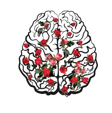 İnsan beyni neokorteks şeması pembe güllerle üst görünüm