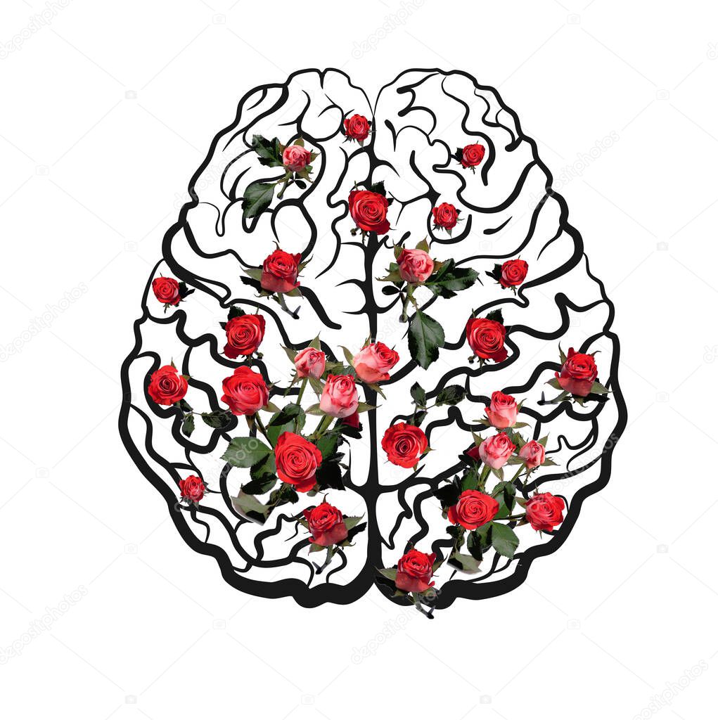 Human brain neocortex scheme top view with pink roses