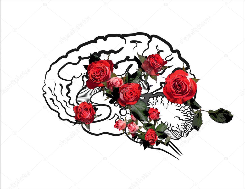  Schematic human brain  anatomy side view with pink roses