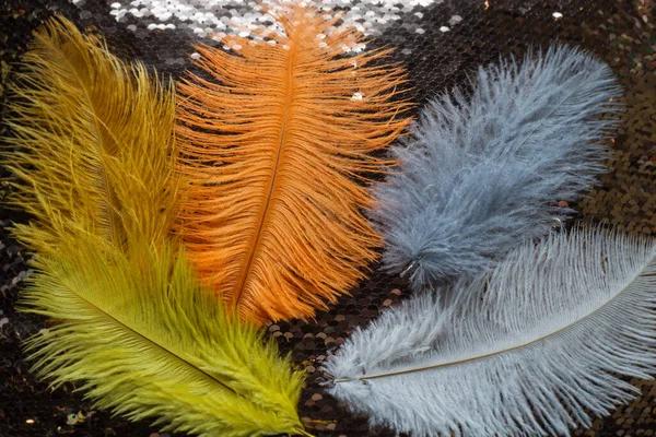 金色のスパンコールの枕の上に多色のふわふわのダチョウの羽 — ストック写真
