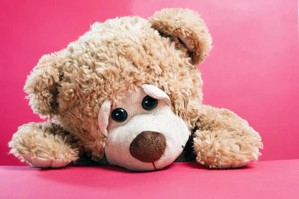 Niedlich Traurig Einsam Teddybär Auf Rotem Hintergrund — Stockfoto