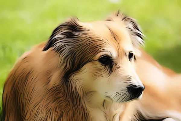 Портрет Собаки Смешанной Породы Румынии Саду Весной Стиле Мягкого Рисунка — стоковое фото
