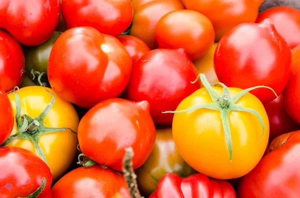 Tomatoes Background — Stock Photo, Image