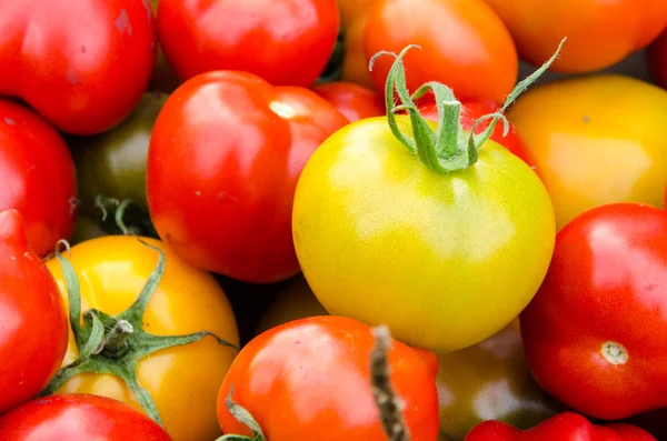 Tomatoes Background — Stock Photo, Image