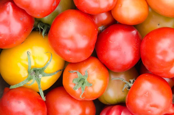 Tomatoes Background — Stock Photo, Image