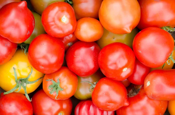 Tomatoes Background — Stock Photo, Image