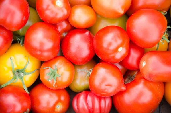 Tomatoes Background — Stock Photo, Image