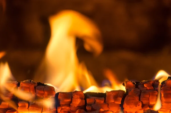 Forró parázs a tűzben — Stock Fotó