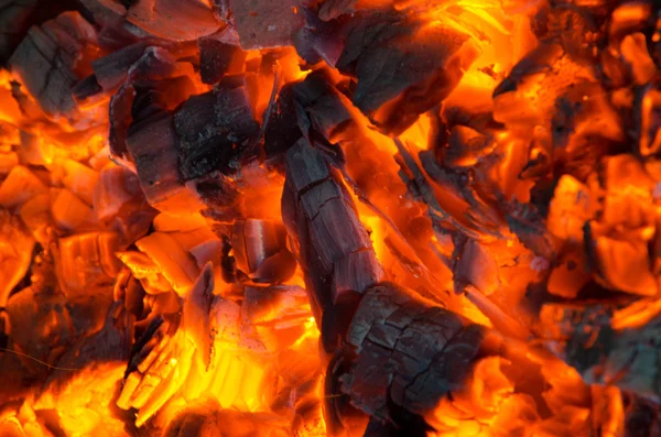 Carboni ardenti nel fuoco — Foto Stock