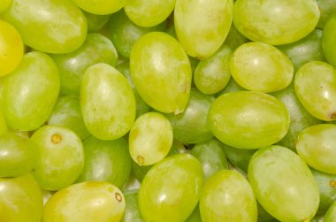 Yeşil üzüm