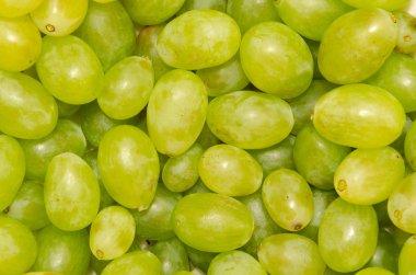 Yeşil üzüm