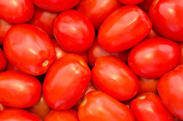 Sfondo pomodori — Foto Stock