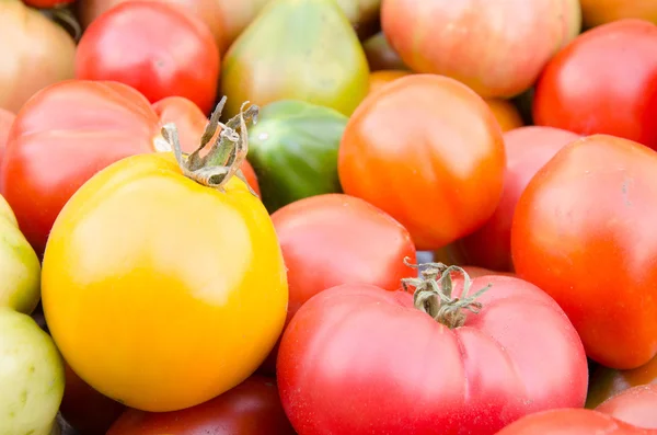 Tomatoes Background — Stock Photo, Image
