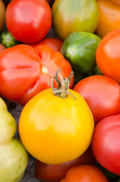 Tomatoes Background — Stock Photo, Image