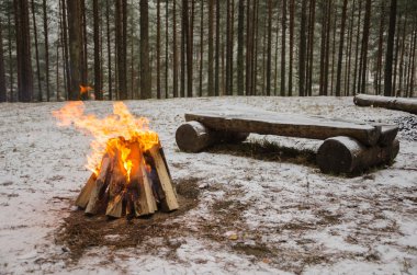 Kış ormanda yangın