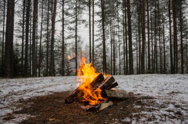 Kış ormanda yangın