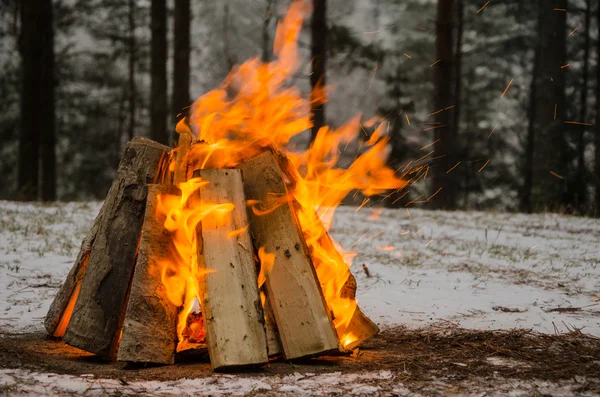 A téli erdő tűz — Stock Fotó