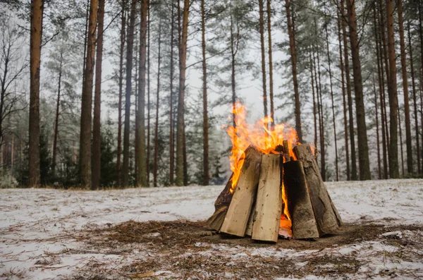 Le feu dans la forêt d'hiver — Photo